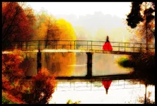 e05c1e122bc4.webp
