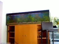 Picture 11.webp