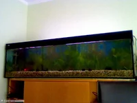 Picture 12.webp