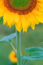 -070503-33.webp
