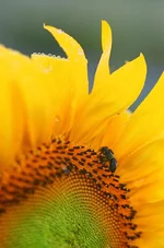-070503-34.webp