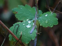 IMG_3626.jpg
