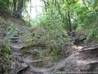 kozacha_gora_IMG_4885.webp