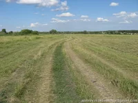 leto_IMG_5067.webp