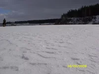 SN854896.webp