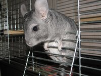 IMG_2747_1.jpg