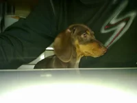 011120091224.webp
