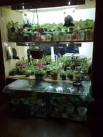 stelaj_01.webp