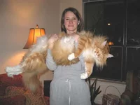 coonbig.jpg