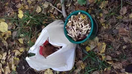 20161002_123202.jpg