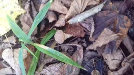 20161002_113720.webp