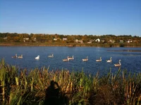 IMG_1075[1].webp