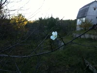 IMG_1078[1].webp