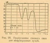 salofilter.webp