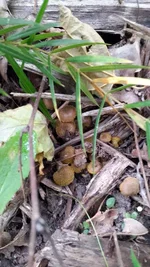 20161005_133540.jpg