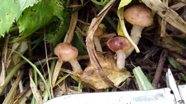 20161005_141832.jpg