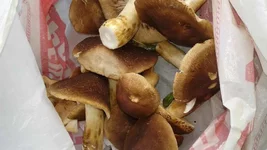 20161006_164817.webp
