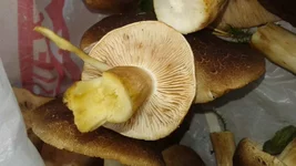 20161006_164837.jpg
