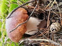 20161008_135115.webp
