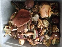 20161001_134254.webp