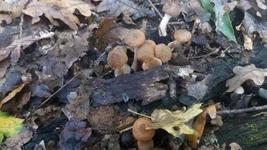 PHOTO_20161007_145839.webp