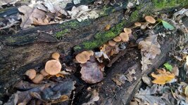 PHOTO_20161007_145906.jpg