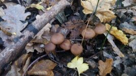 PHOTO_20161007_160547.jpg
