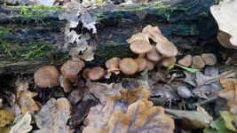 PHOTO_20161007_145921.webp