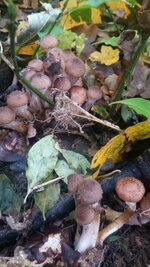 PHOTO_20161007_160753.jpg