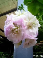 image (1).webp