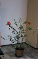 20160926_110303.webp