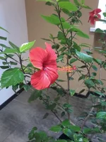 20160926_110447.webp