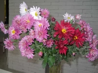 081.webp