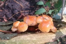 DSC01611.JPG