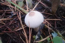 DSC01616.webp