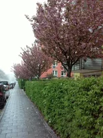 L593jTYRAYc.webp
