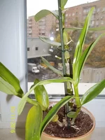 100_3919.webp