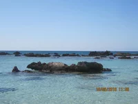 IMG_9133.webp