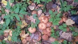 20161012_110358.jpg