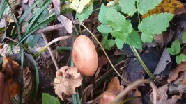 20161012_105744.jpg