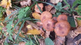 20161012_105325.jpg