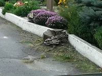 20161009_130548.jpg