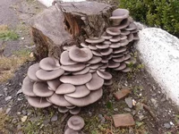 20161009_125901.jpg