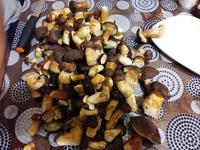 20161012_185317.webp