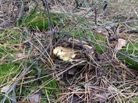20161012_075657.webp
