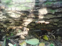 IMG_20161014_091916.webp