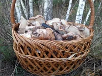 20161014_144903.webp