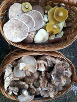 20161014_151912.jpg