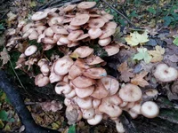 20161014_160719.webp