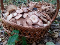 20161014_165611.jpg